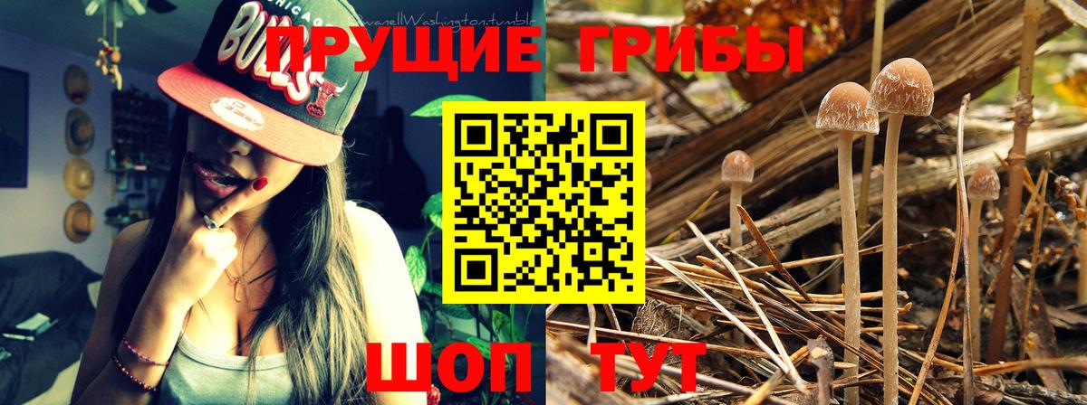 Псилоцибиновые грибы Magic Shrooms Железноводск